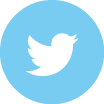 Graphic Icon of Twitter Logo