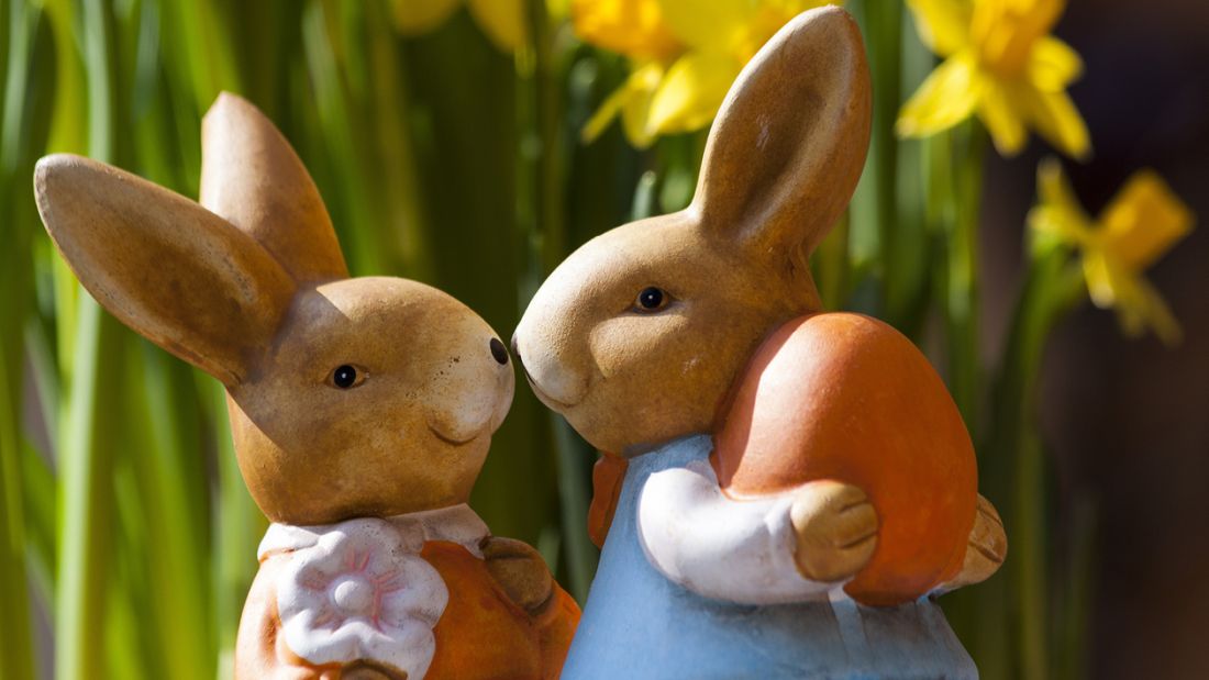 A photo of two easter bunnies for the 2018 Easter Holiday