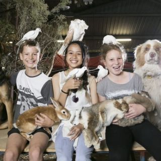 Perth Royal Show Animal Nursery